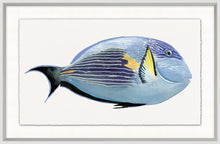 Load image into Gallery viewer, Tropical Fish
