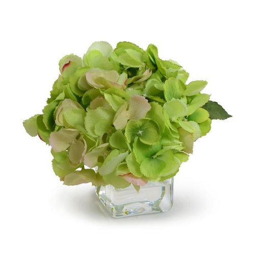 Green Hydrangea Cutting in Vase