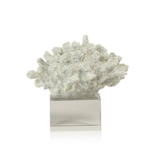 Load image into Gallery viewer, White Coral On Acrylic Base
