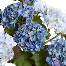 Load image into Gallery viewer, Large Hydrangea Bush
