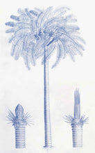 Load image into Gallery viewer, Malabar Garden Blue Palms
