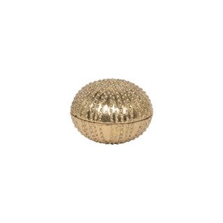 Obelia Urchin Brass Box