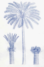 Load image into Gallery viewer, Malabar Garden Blue Palms
