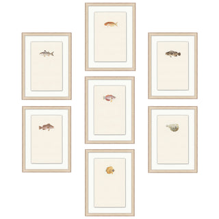 Petite Fish