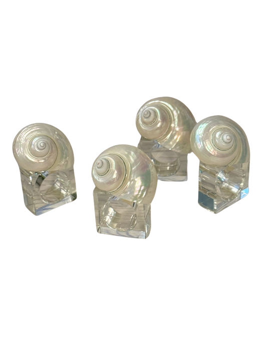 White Shell Napkin Rings with Lucite Ring (Set of 4)