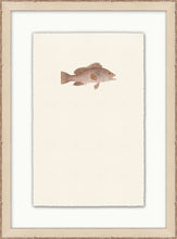 Load image into Gallery viewer, Petite Fish

