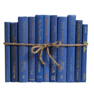 Decorative Books-Modern Blue Jay