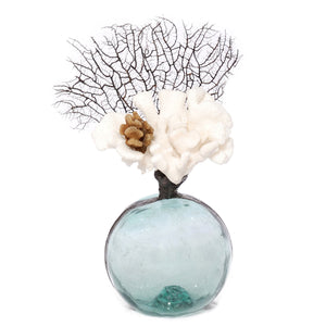 Vintage Float with Coral & Sea Fan