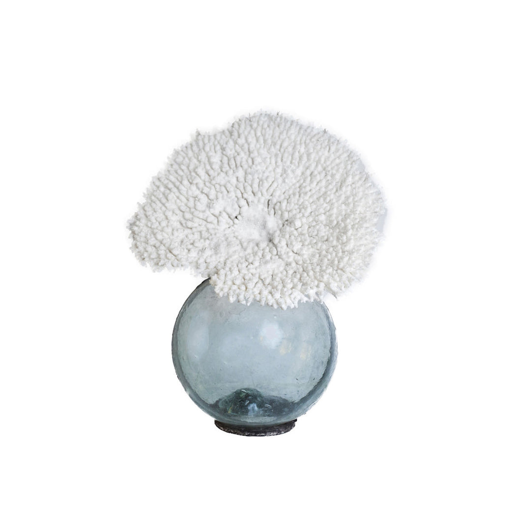 Vintage Float with White Coral