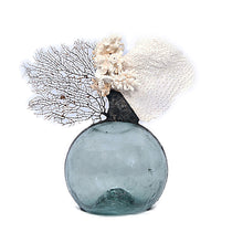 Load image into Gallery viewer, Vintage Float with Sea Fan &amp; White Coral
