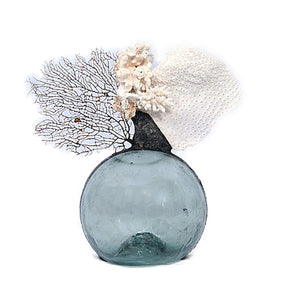 Vintage Float with Sea Fan & White Coral