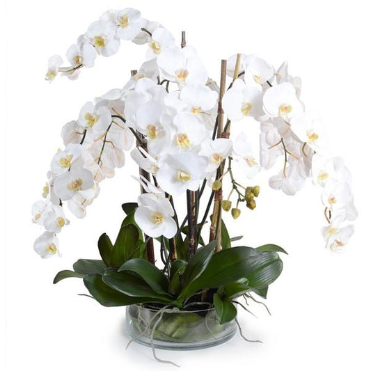 White Orchid Arrangement