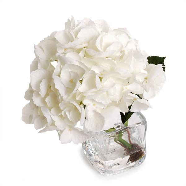 White Hydrangea Cutting in Vase