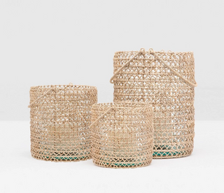 Tonga Hurricane - Large