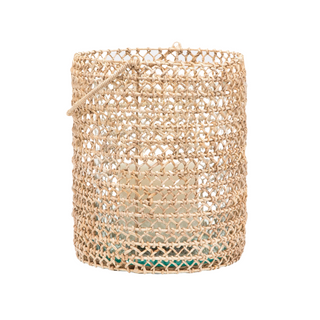 Tonga Hurricane - Medium