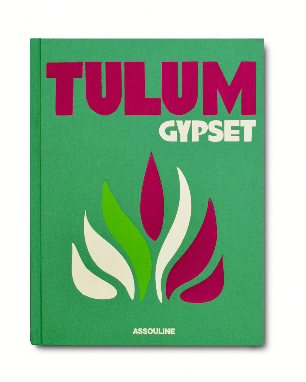 Tulum Gypset Book by Julia Chaplin