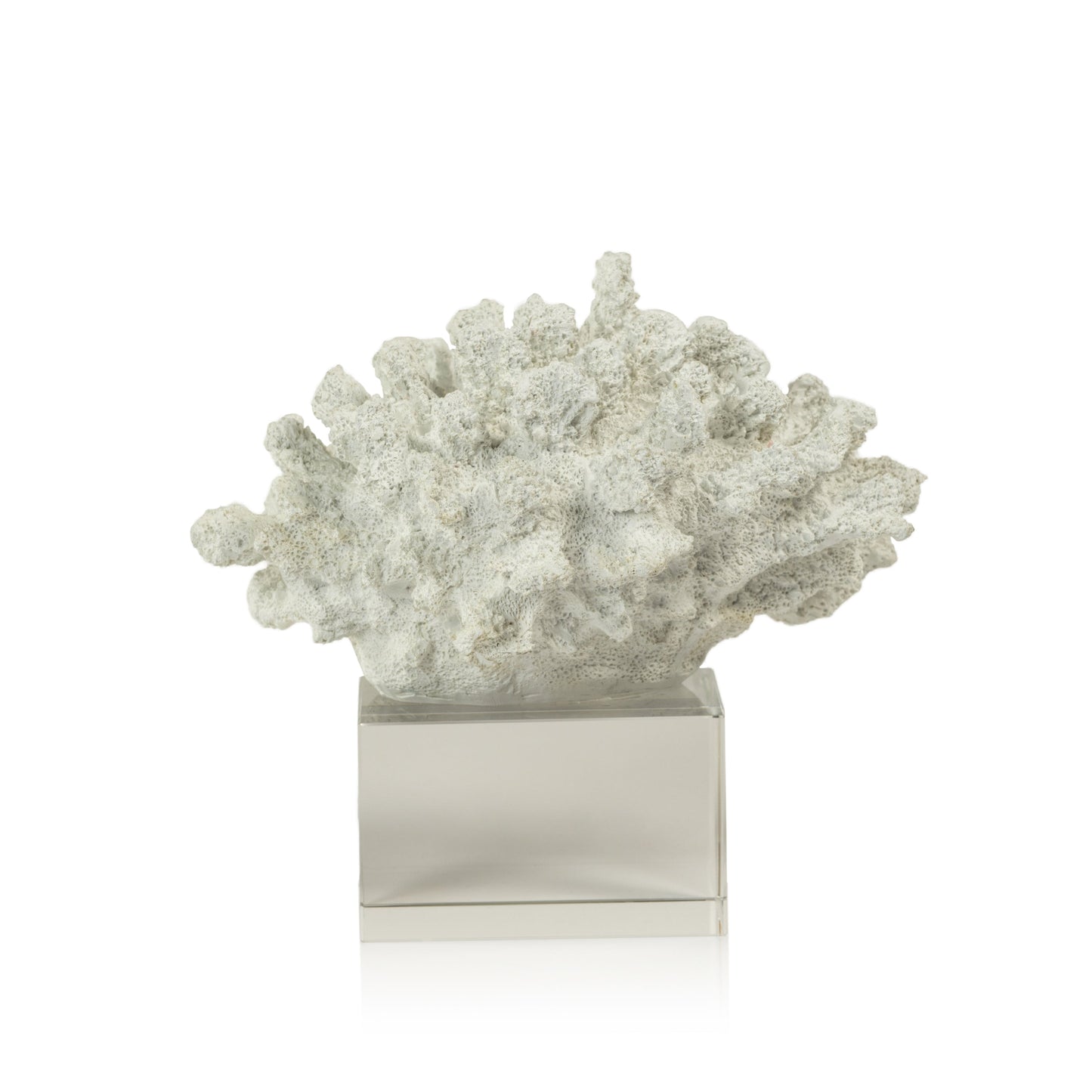 White Coral On Acrylic Base